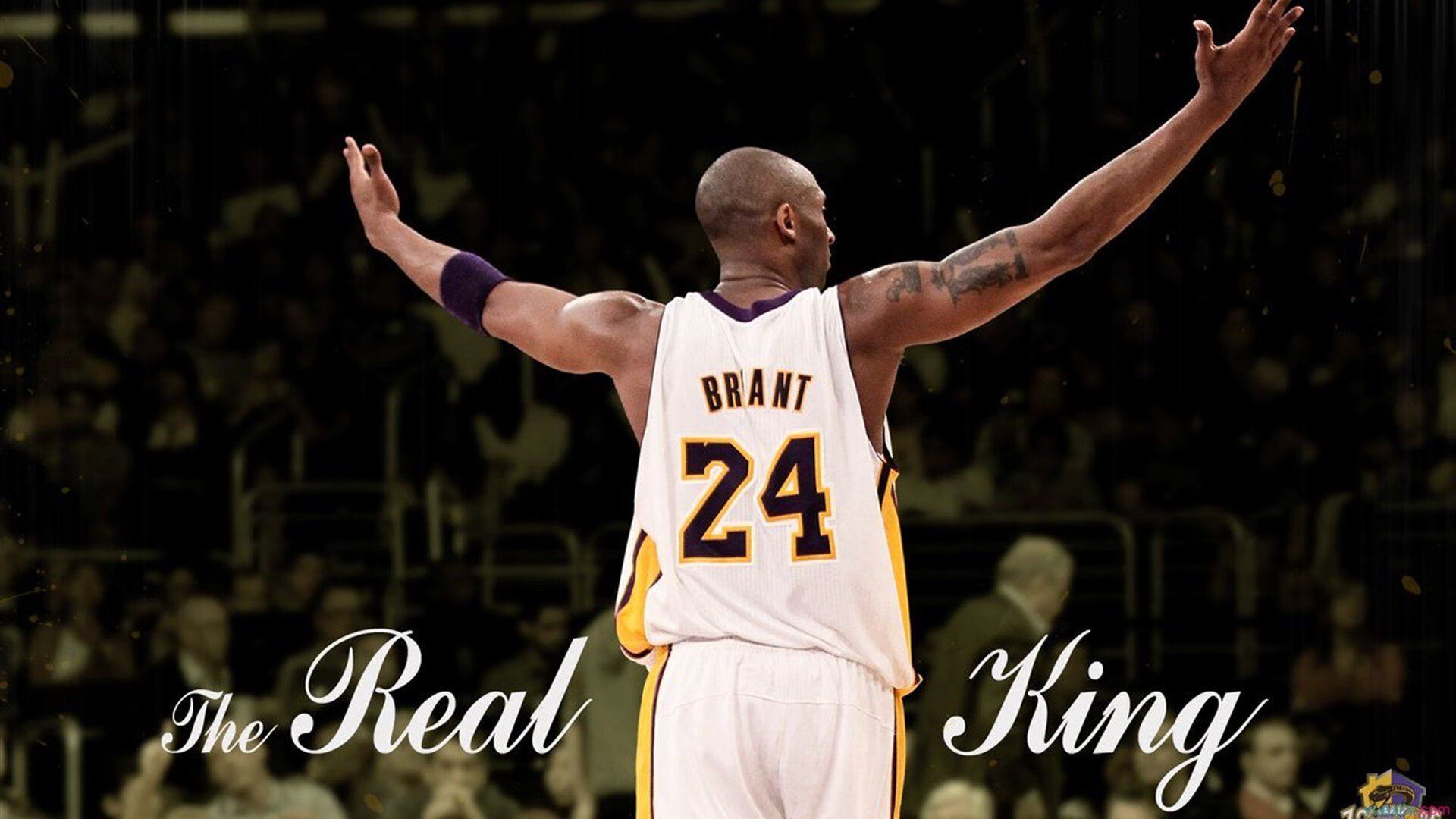 _水上飞行风暴：速度与美感双赢_，水上飞行器已成为风靡全球的运动